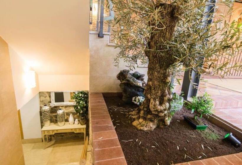 مسافرخانه Antika Snoga