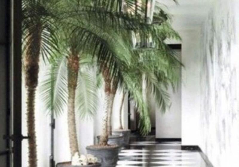 فندق فئة نجمة واحدة Santa Ponsa Fontenille Menorca