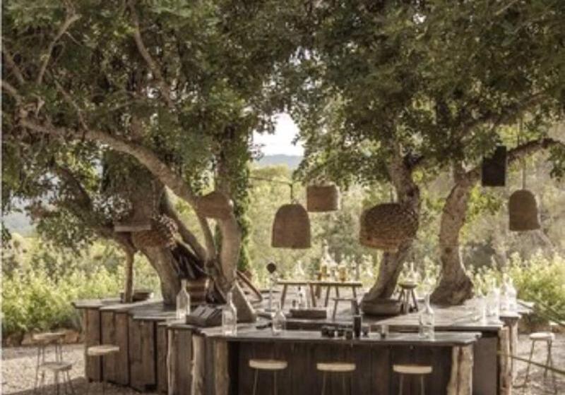 فندق فئة نجمة واحدة Santa Ponsa Fontenille Menorca