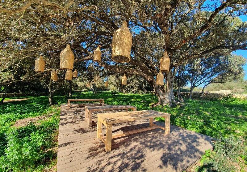 فندق فئة نجمة واحدة Santa Ponsa Fontenille Menorca