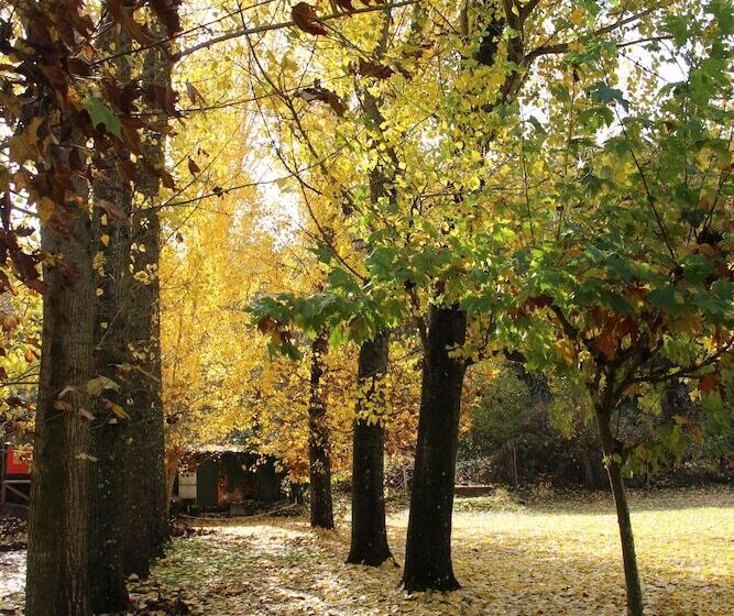 Hostel El Lago Caceres