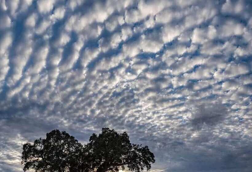 Hostel El Lago Caceres