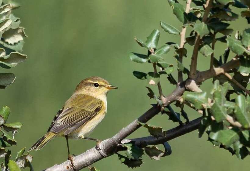 Hostel El Lago Caceres