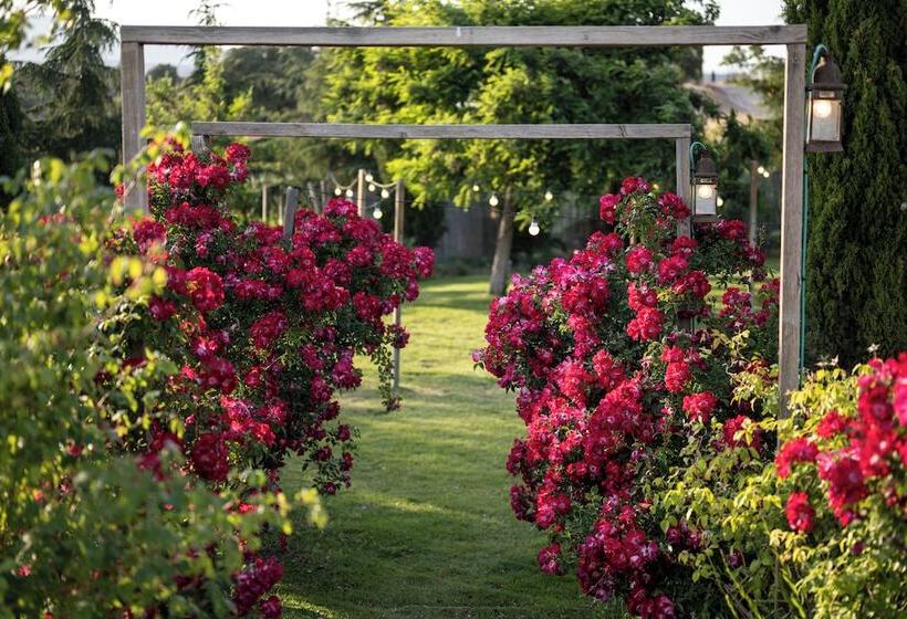 בית מלון כפרי Aal Cachucho