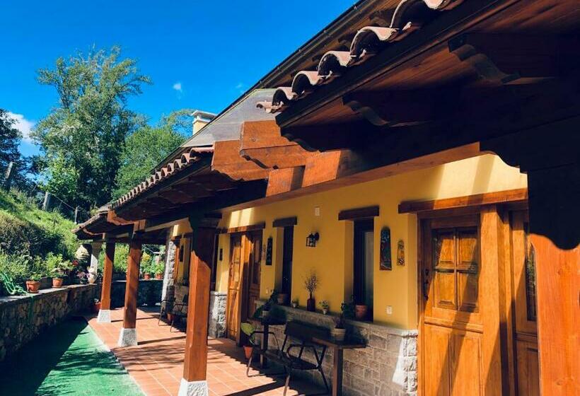 ホテル Alojamiento Rural Cosorios