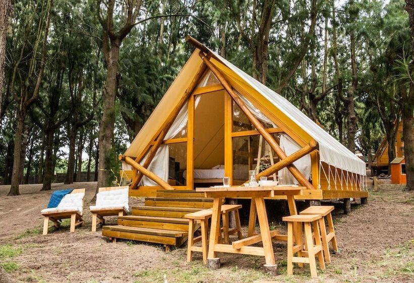 호텔 Taiga Almeria Playa