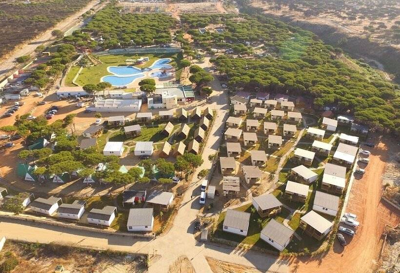 בית מלון כפרי Camping Doñana   Playa