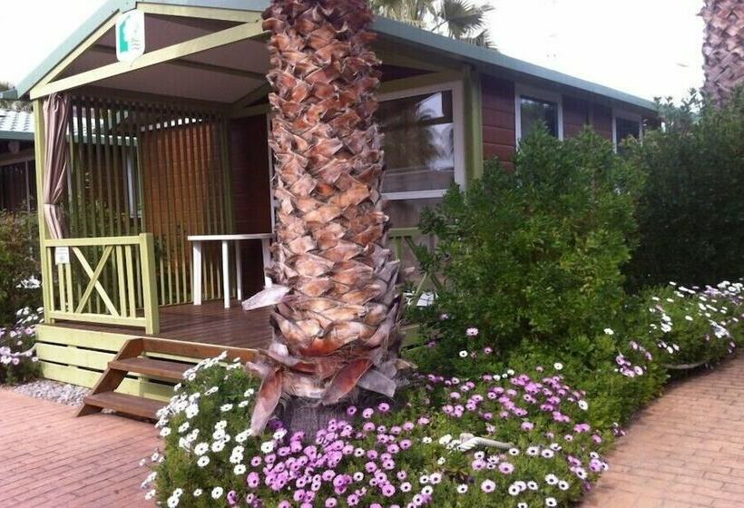 酒店 Camping Enmar