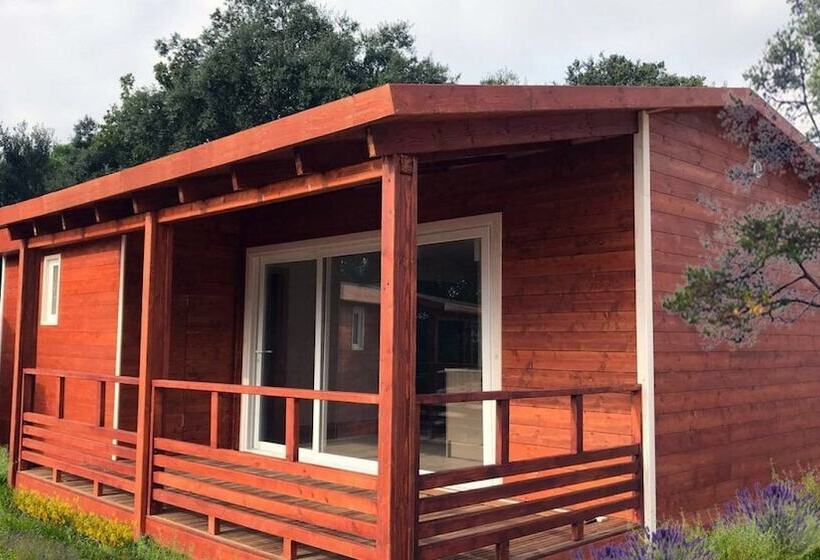 Camping Resort & Bungalow Park Mas Patoxas