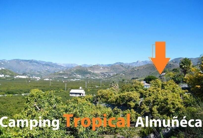 בית מלון כפרי Camping Tropical