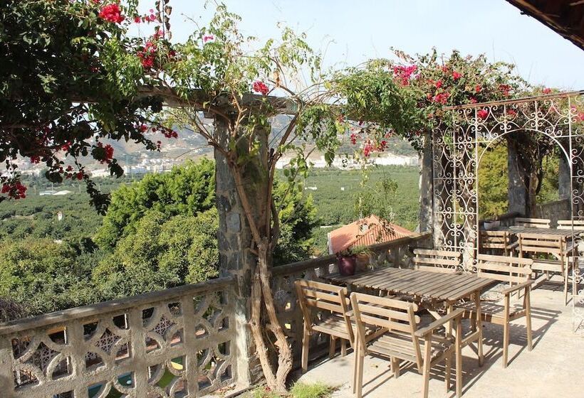 בית מלון כפרי Camping Tropical