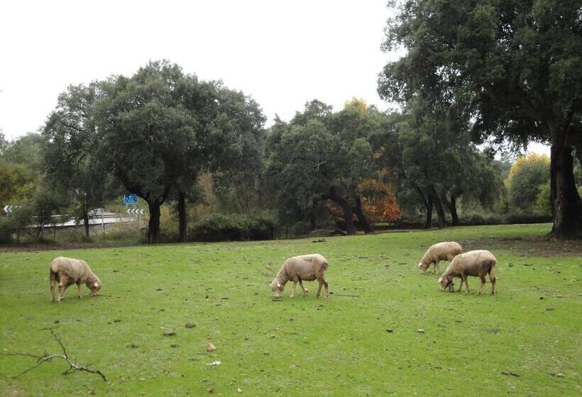 فندق Casa Rural Sierra San Mamede