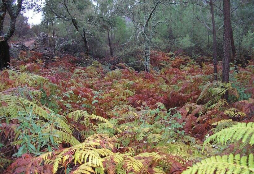 فندق Casa Rural Sierra San Mamede