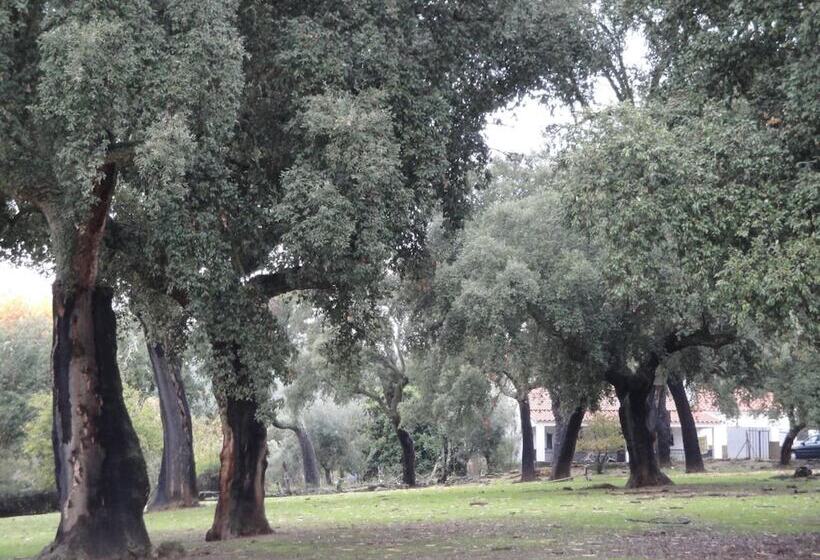 فندق Casa Rural Sierra San Mamede