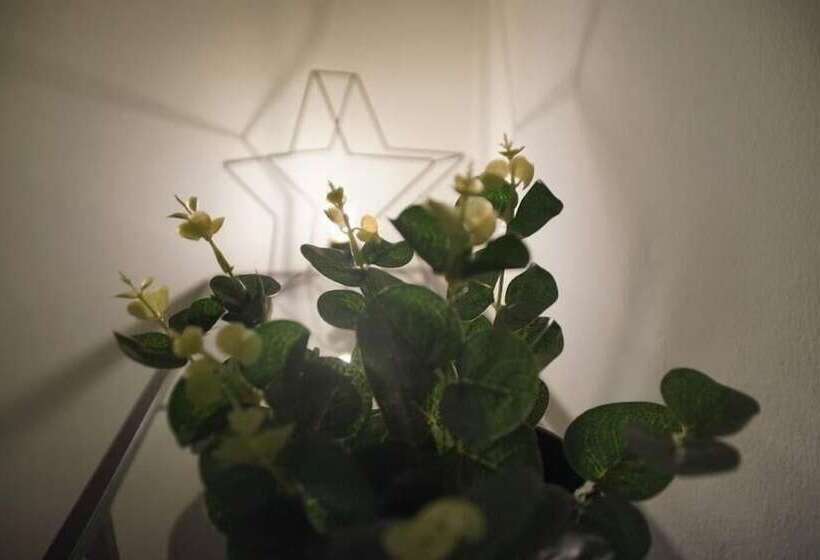 فندق El Duende Del Tejar