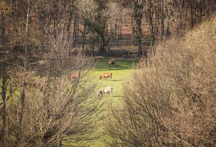 호텔 Pazo De Sedor