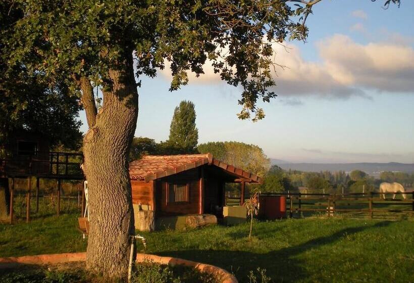 فندق Punto Y Aparte