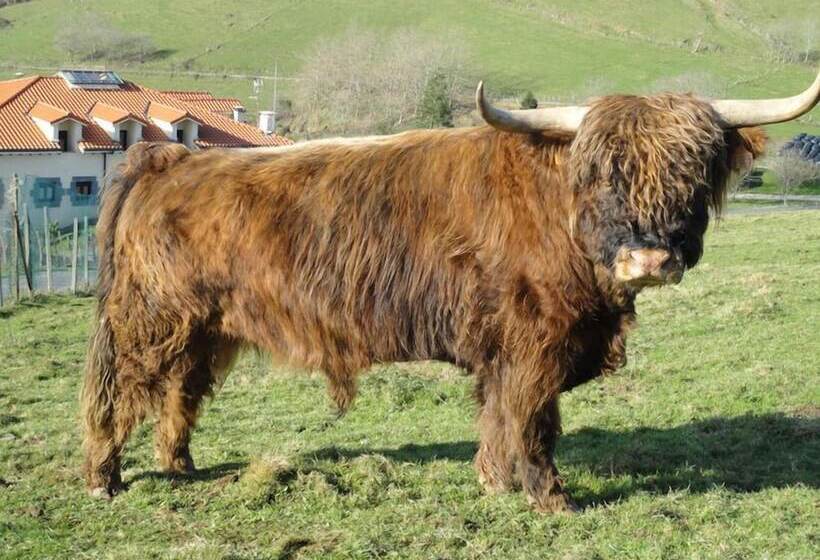 Сельский отель Agroturismo Indate Berri