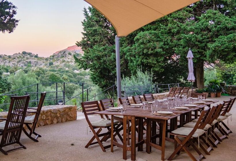 田舎風ホテル Agroturismo Son Alzines