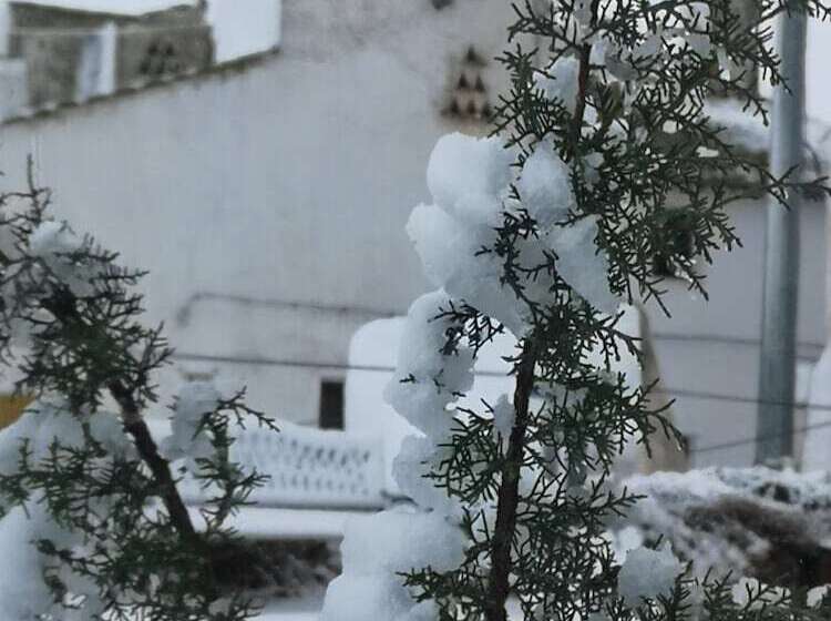فندق ريفى Casa Rural El Llano Quintanilla