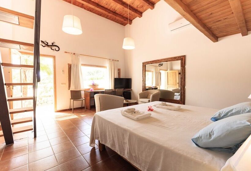 Сельский отель Es Pas Formentera Agroturismo