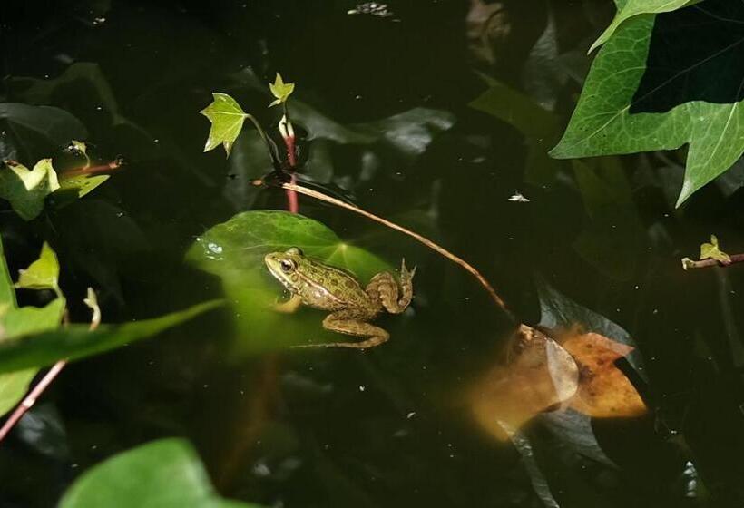 בית מלון כפרי Finca Hotel Ses Cases Noves