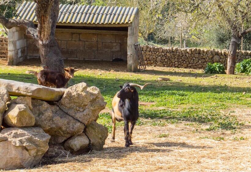 בית מלון כפרי Finca Hotel Ses Cases Noves