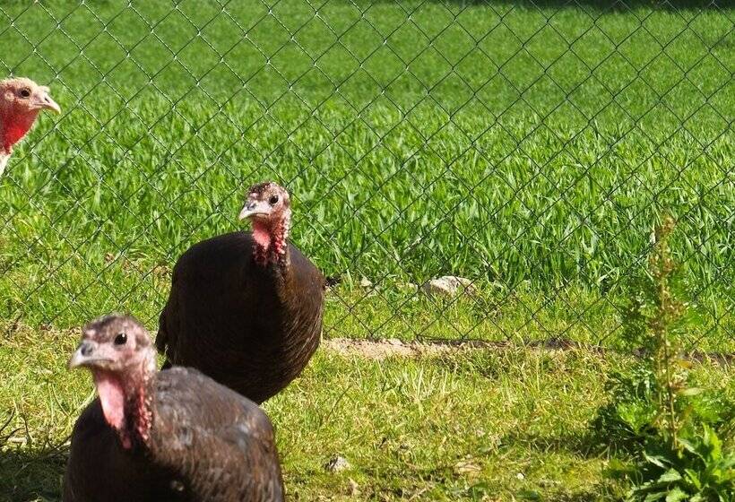 בית מלון כפרי Finca Hotel Ses Cases Noves