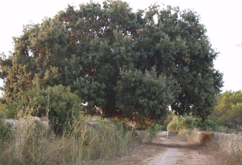 교외 호텔 Finca Son Josep De Baix