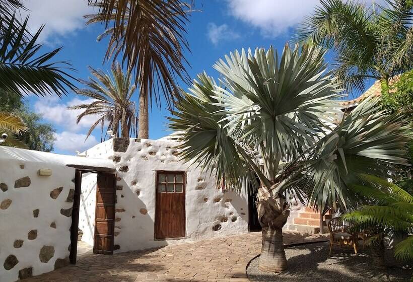 Сельский отель Rural Rugama