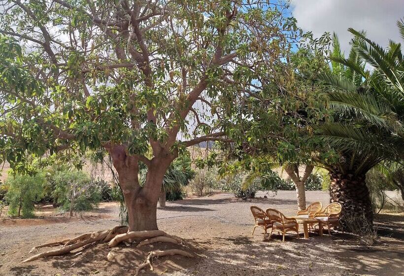 Сельский отель Rural Rugama