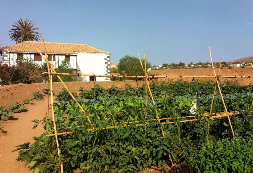 Сельский отель Rural Rugama