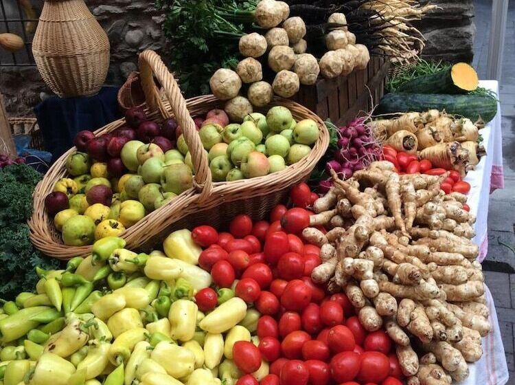 ペンション Casa Catharina