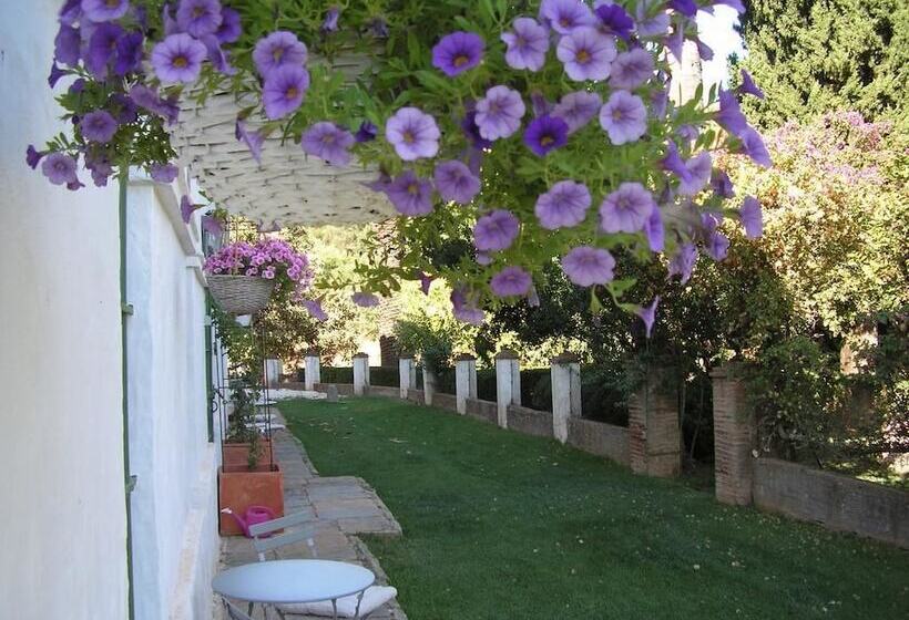 بنسيون Finca La Favorita