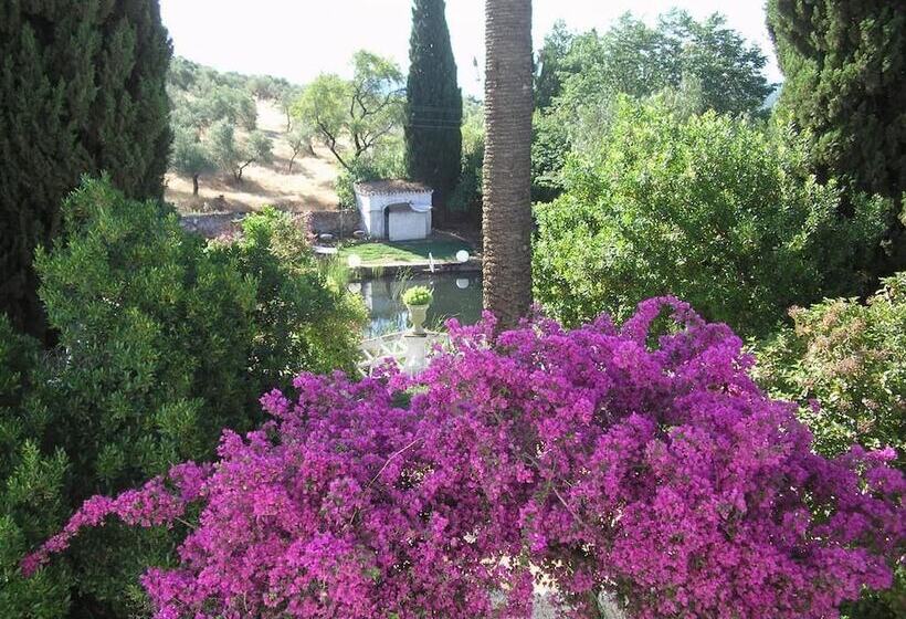 بنسيون Finca La Favorita