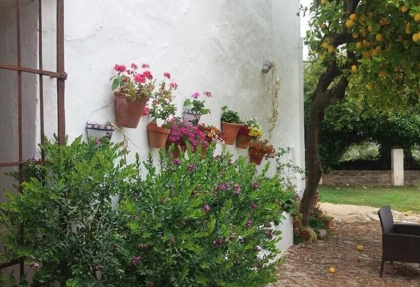 بنسيون Finca La Favorita