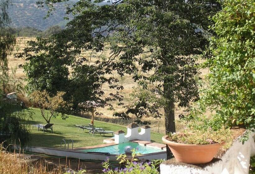 بنسيون Finca La Favorita