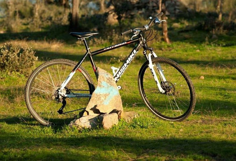 Пансион Finca Las Gamitas