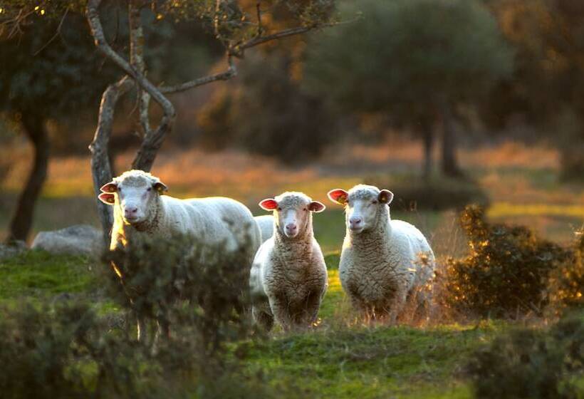 Пансион Finca Las Gamitas