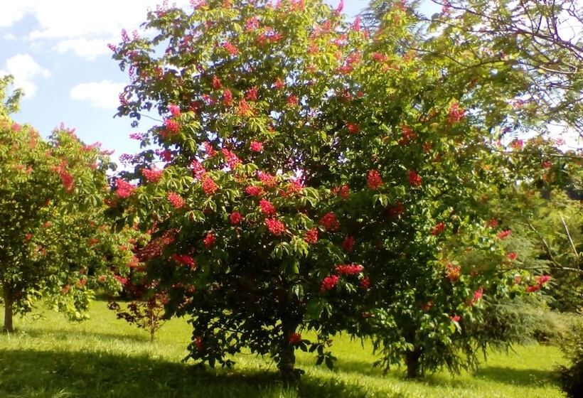 膳宿费 Hospederia San Jose Monasterio De Santa Clara Derio