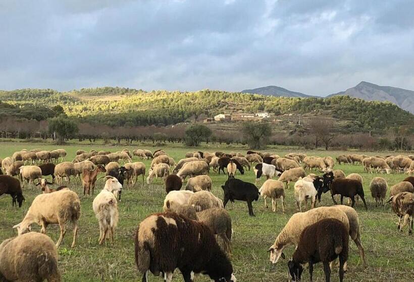 פנסיון Solano De Moran