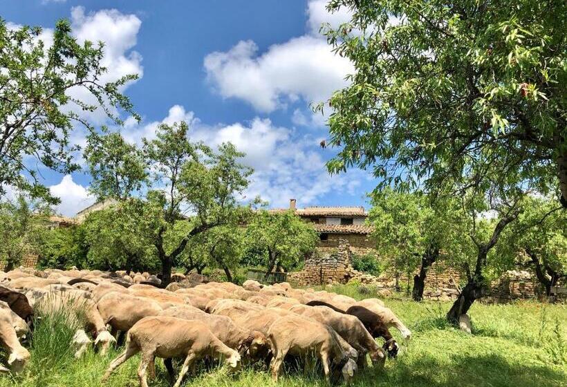 פנסיון Solano De Moran