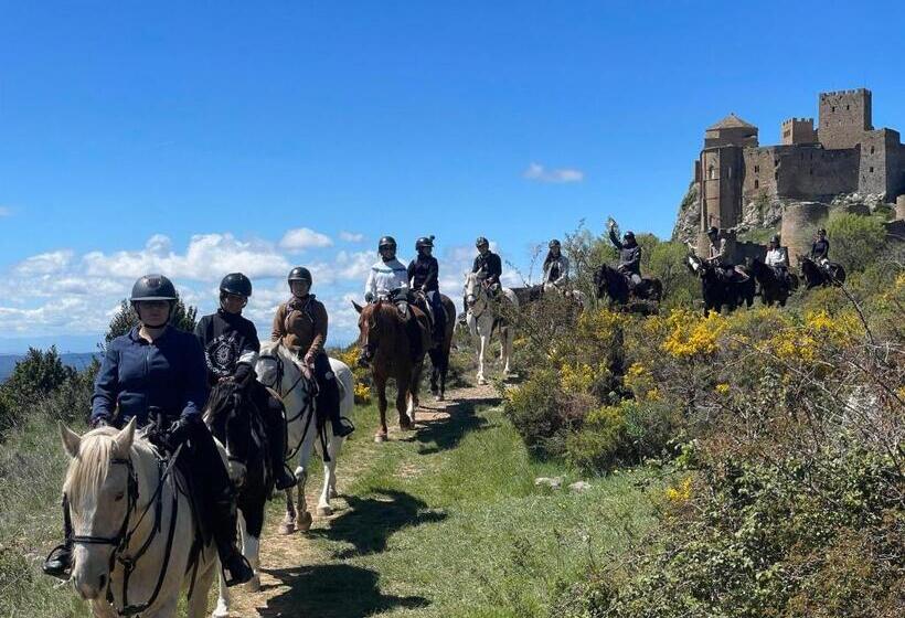 פנסיון Solano De Moran