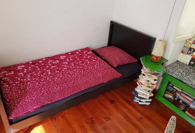 旅馆 Ratones De Biblioteca