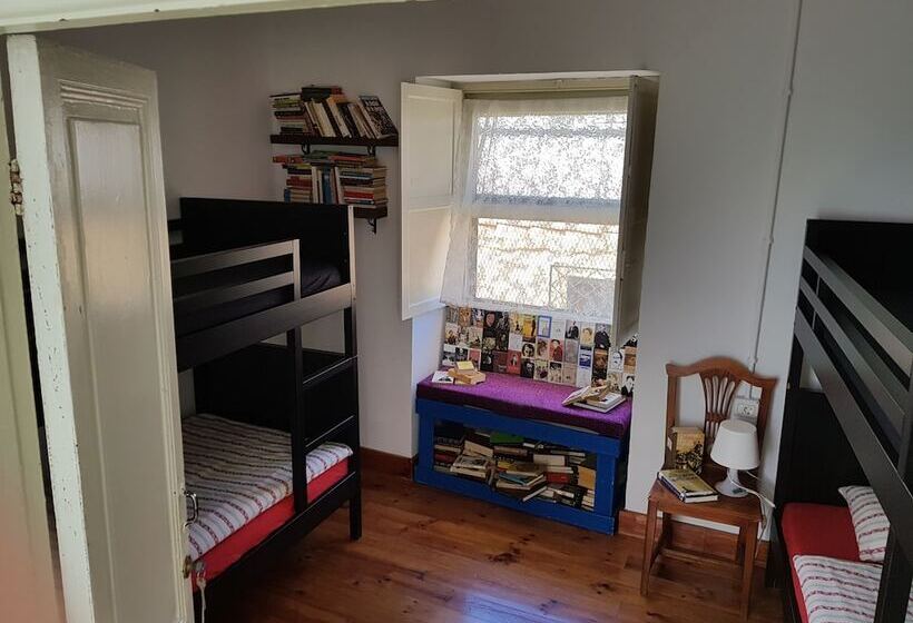 旅馆 Ratones De Biblioteca