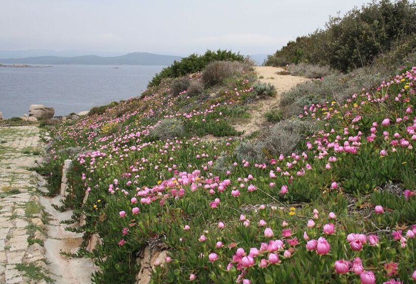 Felix Hotels – Residence Hotel Costa Serena