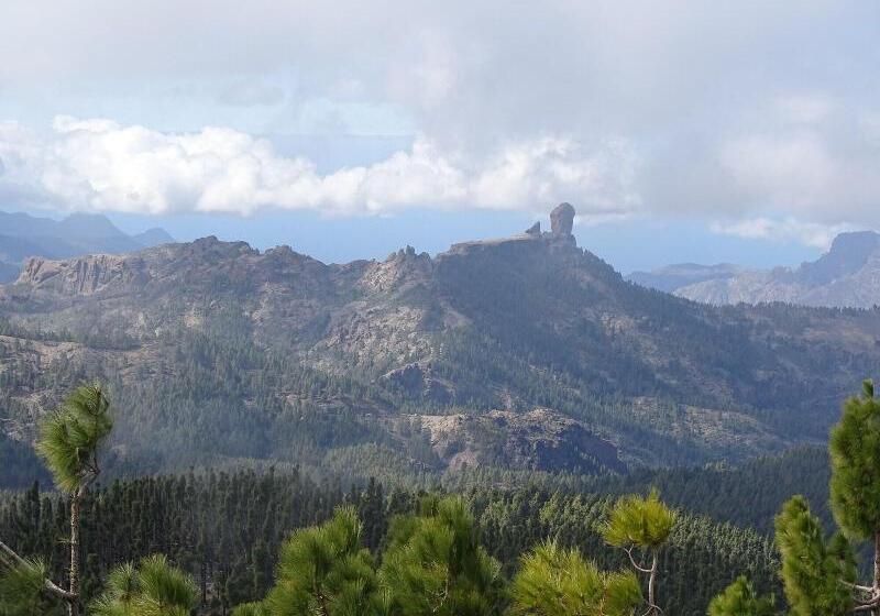 Rickaty Lodge Bed And Breakfast, Hotel De Aeropuerto, Plane Spotting Hotel, Las Palmas Airport, Gran