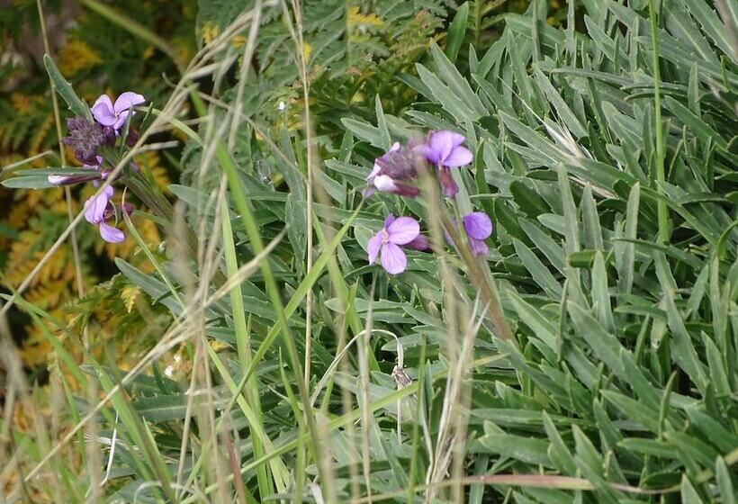 Rickaty Lodge Bed And Breakfast, Hotel De Aeropuerto, Plane Spotting Hotel, Las Palmas Airport, Gran