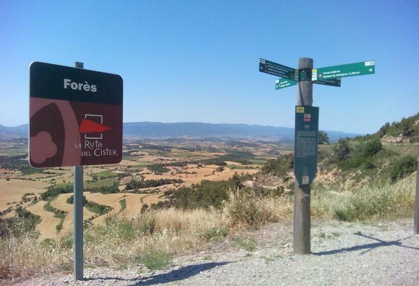Rural Horizons On La Ruta Del Cister