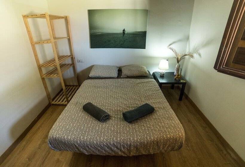 Twin Fin Surf Camp   Hostel